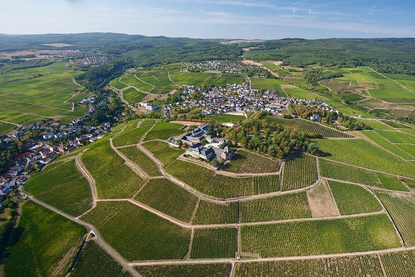 Schloss Johannisberg aerial